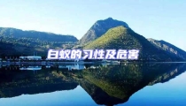 白蟻的習性及危害