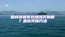 如何快速有效地消滅蟑螂?最佳滅蟑方法