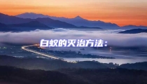 白蟻的滅治方法: