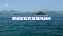 家里發(fā)現老鼠如何消滅