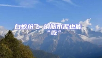 白蟻紛飛 鋼筋水泥也能“吃”
