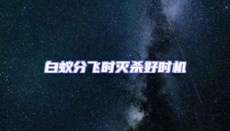 白蟻分飛時(shí)滅殺好時(shí)機(jī)