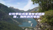 公司單位或家里有老鼠困擾,如何消滅老鼠