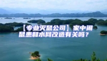 【專業滅鼠公司】家中鬧鼠患和水網改造有關嗎?