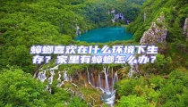 蟑螂喜歡在什么環(huán)境下生存?家里有蟑螂怎么辦?