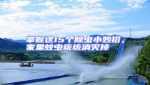 掌握這15個除蟲小妙招,家里蚊蟲統統消滅掉