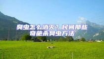 臭蟲怎么消滅?民間那些奇葩殺臭蟲方法