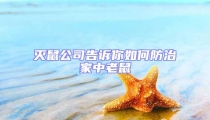滅鼠公司告訴你如何防治家中老鼠
