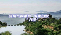贛州氣候條件 引來白蟻“入侵”