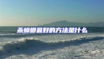 殺蟑螂最好的方法是什么