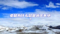 老鼠為什么總是消滅不絕?