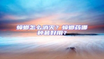 蟑螂怎么消滅?蟑螂藥哪種最好用?