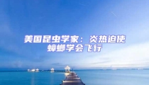 美國(guó)昆蟲學(xué)家:炎熱迫使蟑螂學(xué)會(huì)飛行