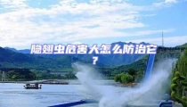 隱翅蟲危害大怎么防治它?