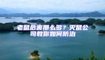 老鼠危害那么多?滅鼠公司教你如何防治