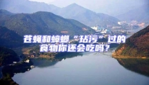 蒼蠅和蟑螂“玷污”過的食物你還會吃嗎?