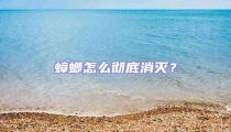 蟑螂怎么徹底消滅?