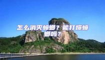 怎么消滅蟑螂?能打爆蟑螂嗎?