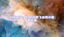 白蟻防治:白蟻成群飛出預示著要下雨