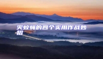 滅蚊蠅的四個實用作戰(zhàn)妙招