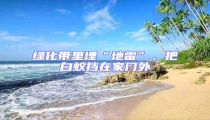 綠化帶里埋“地雷”,把白蟻擋在家門外