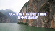 令人作嘔!旅客在飛機餐食中吃出蟑螂