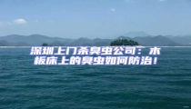 深圳上門殺臭蟲公司:木板床上的臭蟲如何防治!