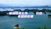 深圳除蟲公司    介紹老鼠的危害