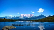 鼠疫知識