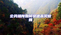 公共場所如何快速殺滅蚊蠅