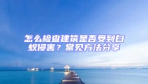 怎么檢查建筑是否受到白蟻侵害?常見方法分享