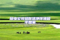 除蟲公司給你潔凈環境超乎想象