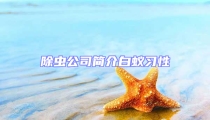 除蟲公司簡介白蟻習性