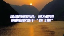 深圳白蟻防治:因為帶翅膀的白蟻處于“婚飛期”