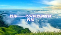 教你——巧滅蟑螂的四種方法