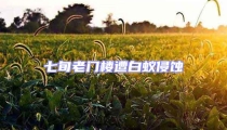 七旬老門樓遭白蟻侵蝕