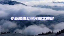 專業除蟲公司滅蠅之妙招