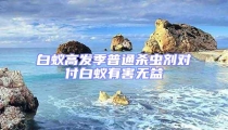 白蟻高發季普通殺蟲劑對付白蟻有害無益
