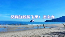 又到白蟻紛飛季!怎么辦?