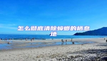 怎么徹底清除蟑螂的棲息地
