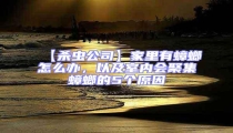 【殺蟲公司】家里有蟑螂怎么辦,以及室內會聚集蟑螂的5個原因