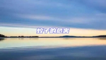 蚊子的危害