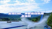 發(fā)現(xiàn)白蟻,不能盲目使用殺蟲劑