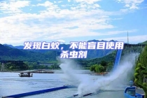 發(fā)現白蟻，不能盲目使用殺蟲劑