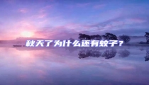 秋天了為什么還有蚊子?