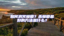 如何消滅蟑螂?殺蟑螂最好的方法是什么?