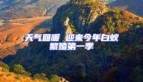天氣回暖 迎來今年白蟻繁殖第一季