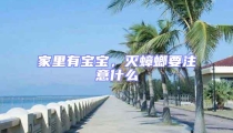 家里有寶寶,滅蟑螂要注意什么