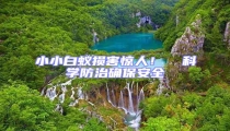 小小白蟻損害驚人!  科學(xué)防治確保安全