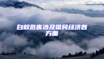 白蟻危害涉及國民經濟各方面